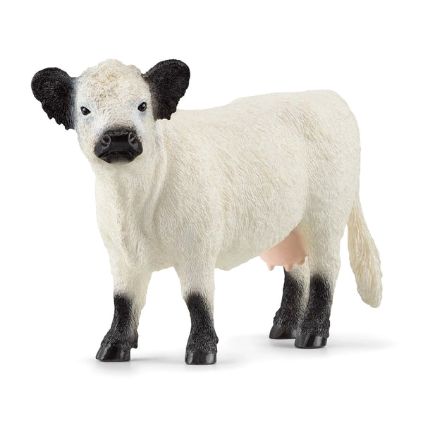 Galloway Cattle Farm Toy Schleich Lil Tulips