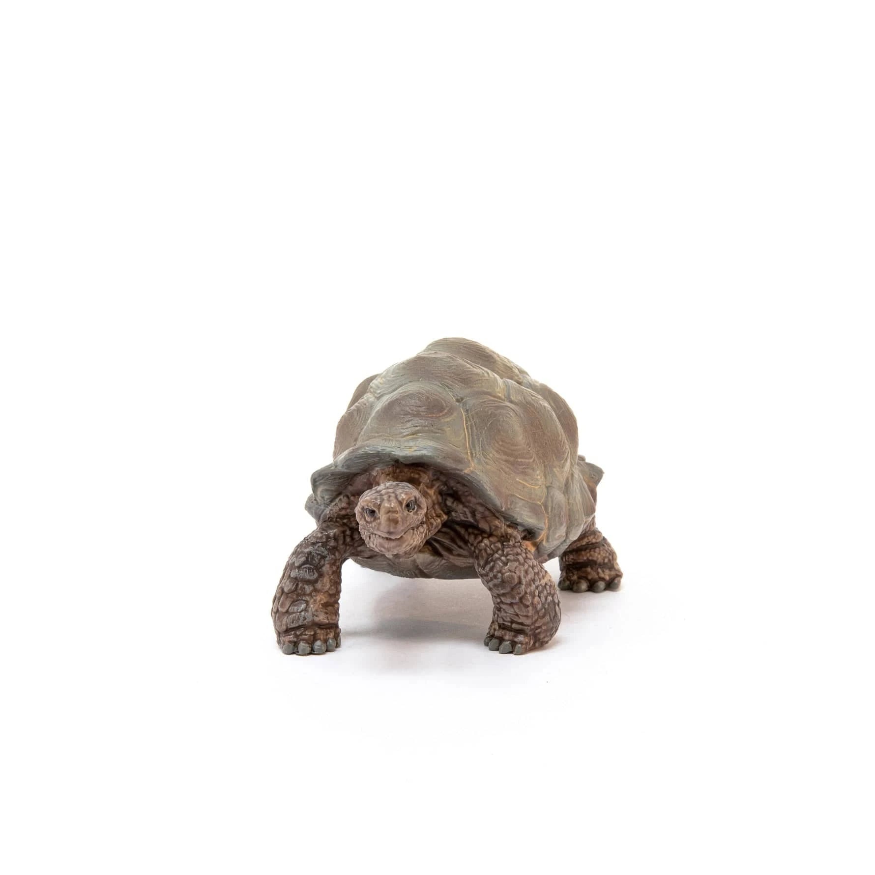 Giant Tortoise Animal Toy Schleich Lil Tulips