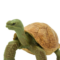 Giant Tortoise Toy Safari Ltd Lil Tulips