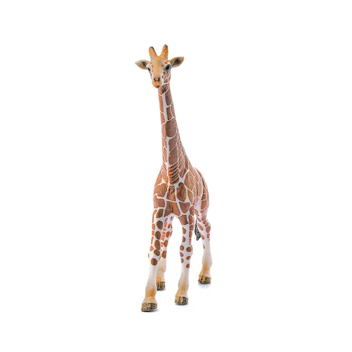 Giraffe Male Safari Animal Toy Schleich Lil Tulips