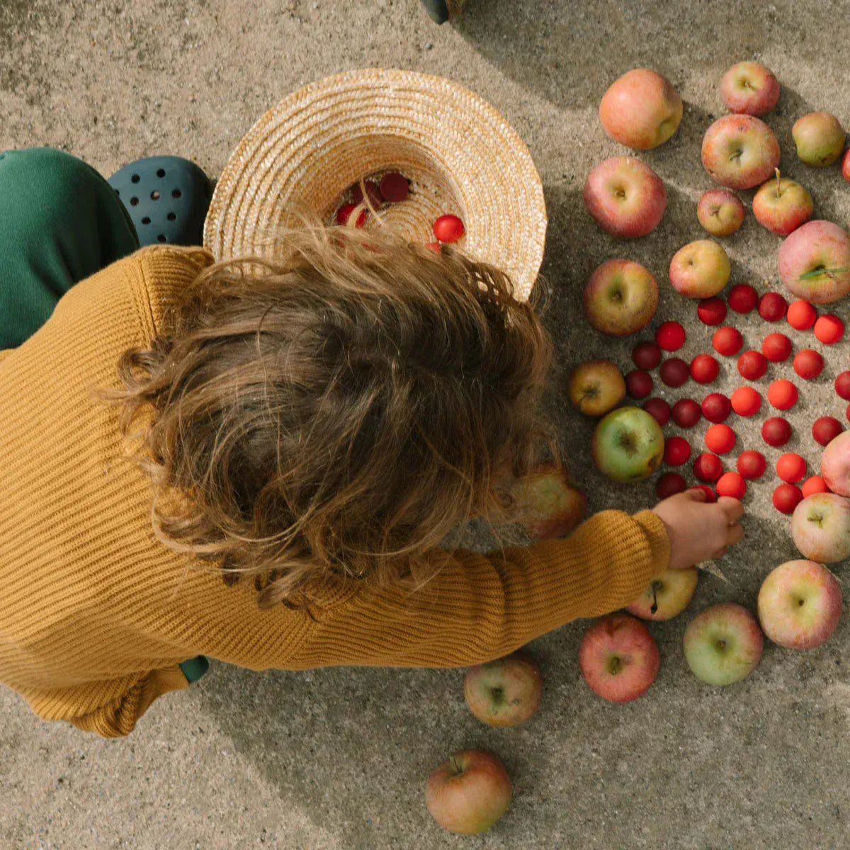 Grapat Mandala Half Spheres Grapat Lil Tulips