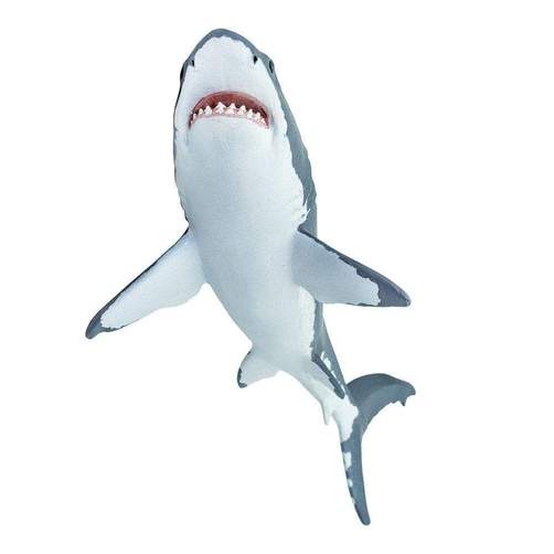 Great White Shark Toy Safari Ltd Lil Tulips