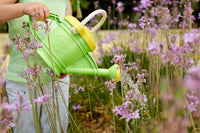Green Watering Can Green Toys Lil Tulips