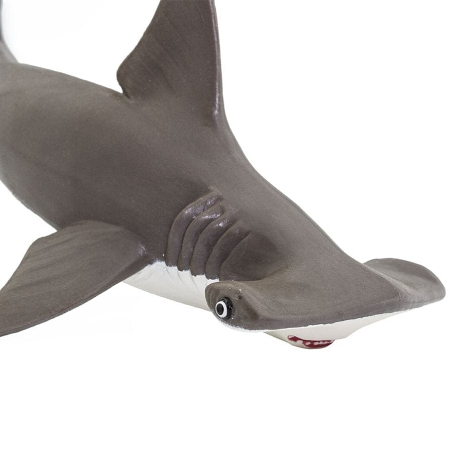 Baby Shark Decorate Your Own Water Bottle, Craft Kits, Baby & Toys