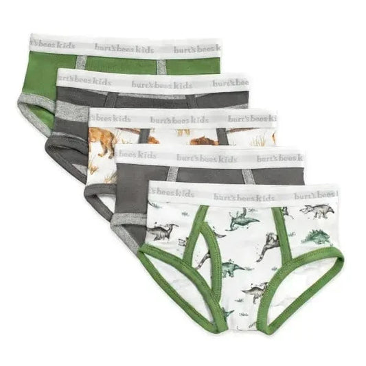 Happy Herbivores & Lions Boys Underwear - Set of 5 Burt's Bees Baby Lil Tulips