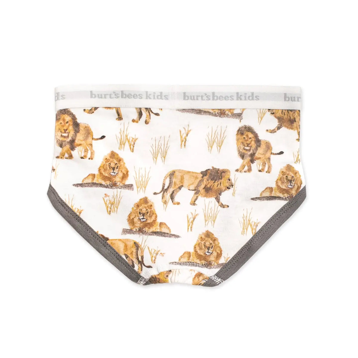 Happy Herbivores & Lions Boys Underwear - Set of 5 Burt's Bees Baby Lil Tulips