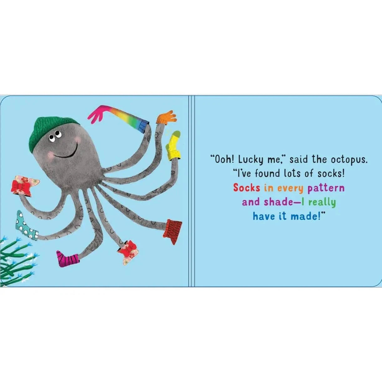 Have You Seen My Sock? Chronicle Books Lil Tulips