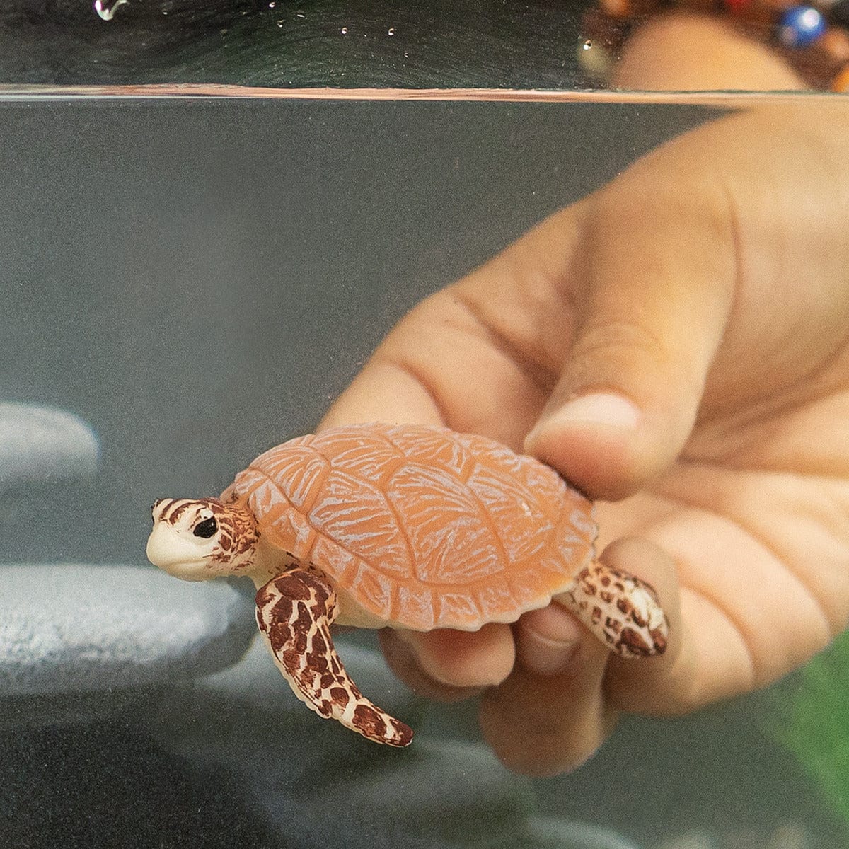 Hawskbill Sea Turtle Ocean Animal Toy Schleich Lil Tulips