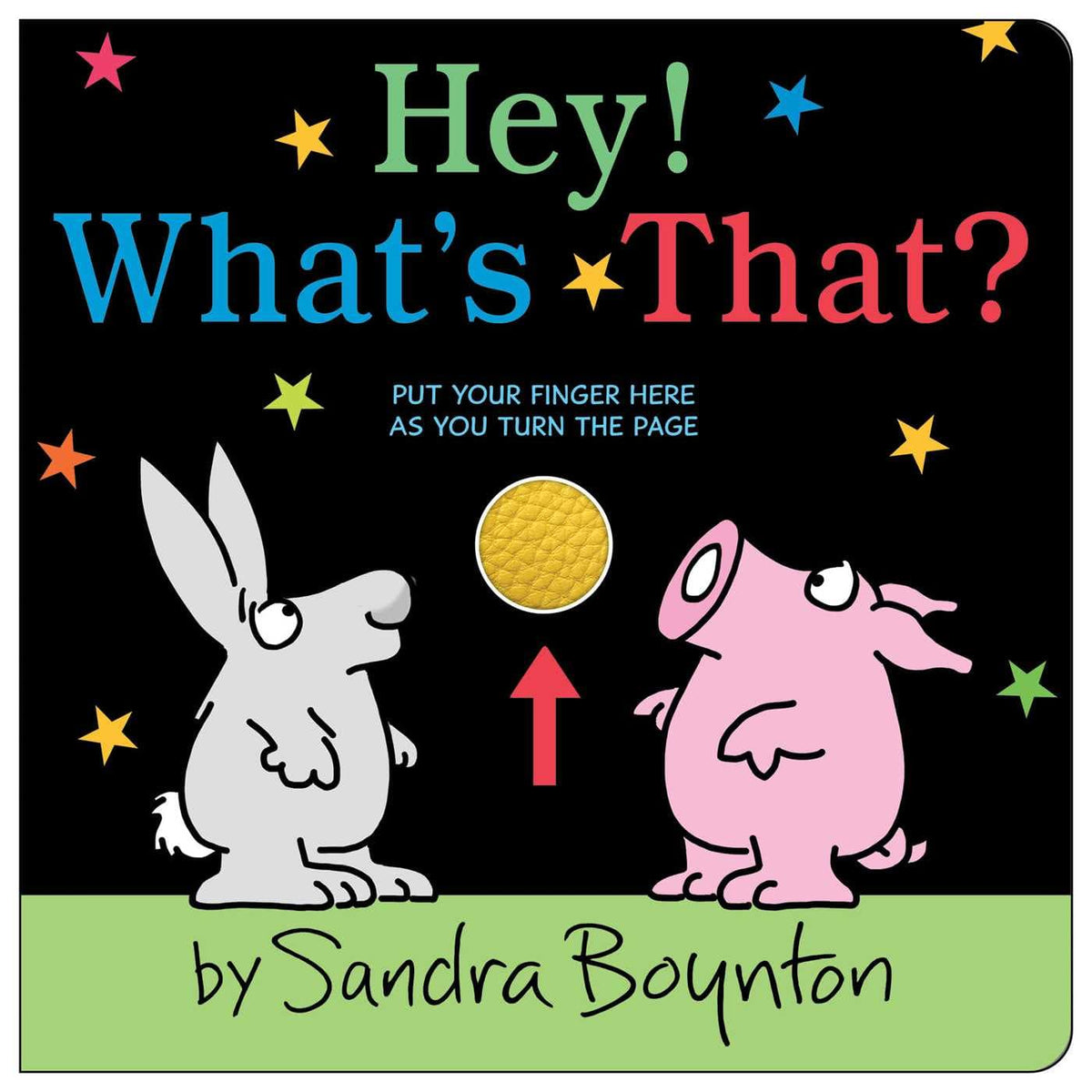 Cover of Hey! What's That?