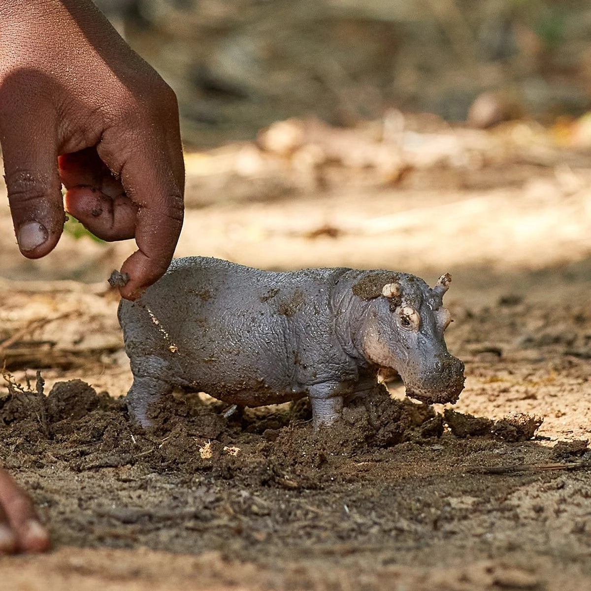 Hippopotamus Safari Animal Toy Schleich Lil Tulips
