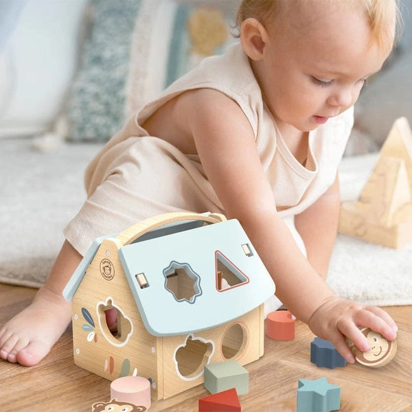 House Shape Sorter Speedy Monkey Lil Tulips