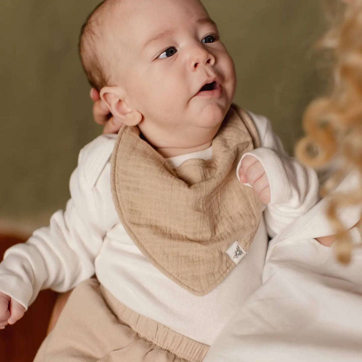 Hummus Organic Baby Bandana Bibs Pack of 3 Burt's Bees Baby Lil Tulips