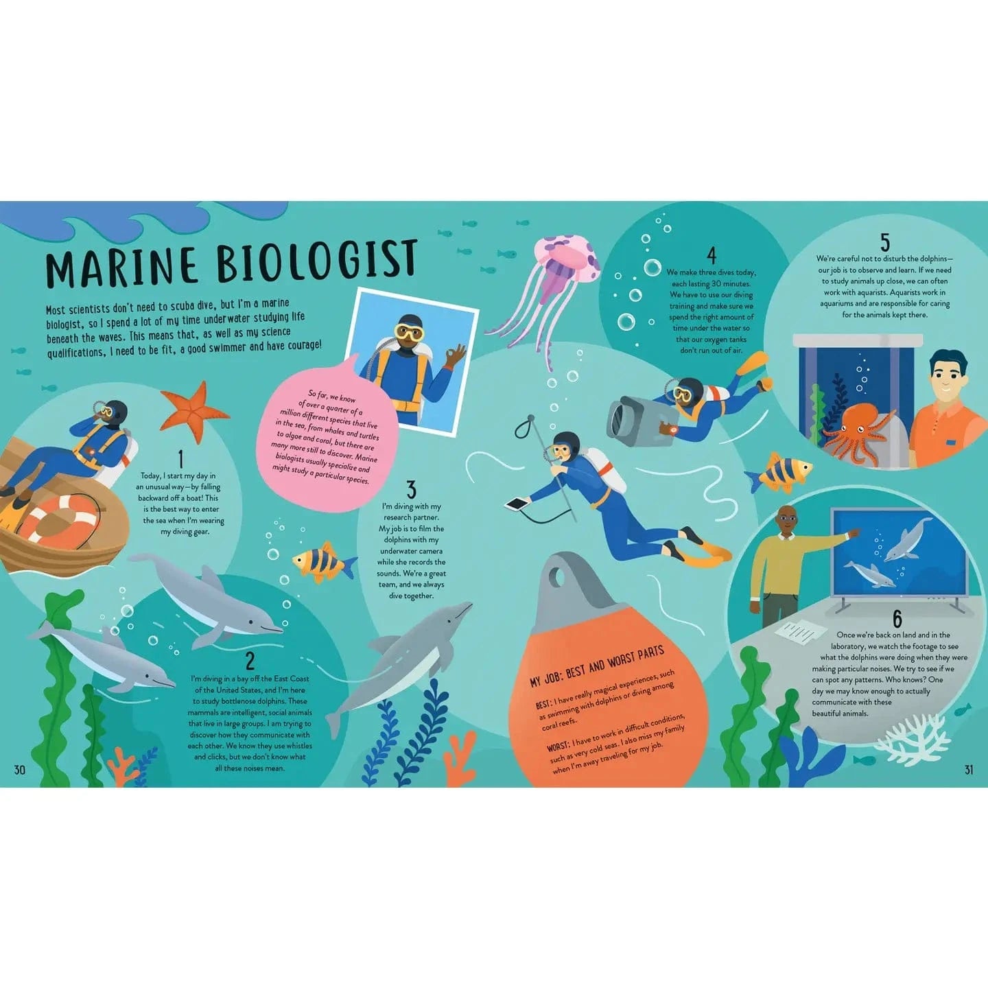 I Like Animals... What Jobs Are There? EDC Publishing Lil Tulips