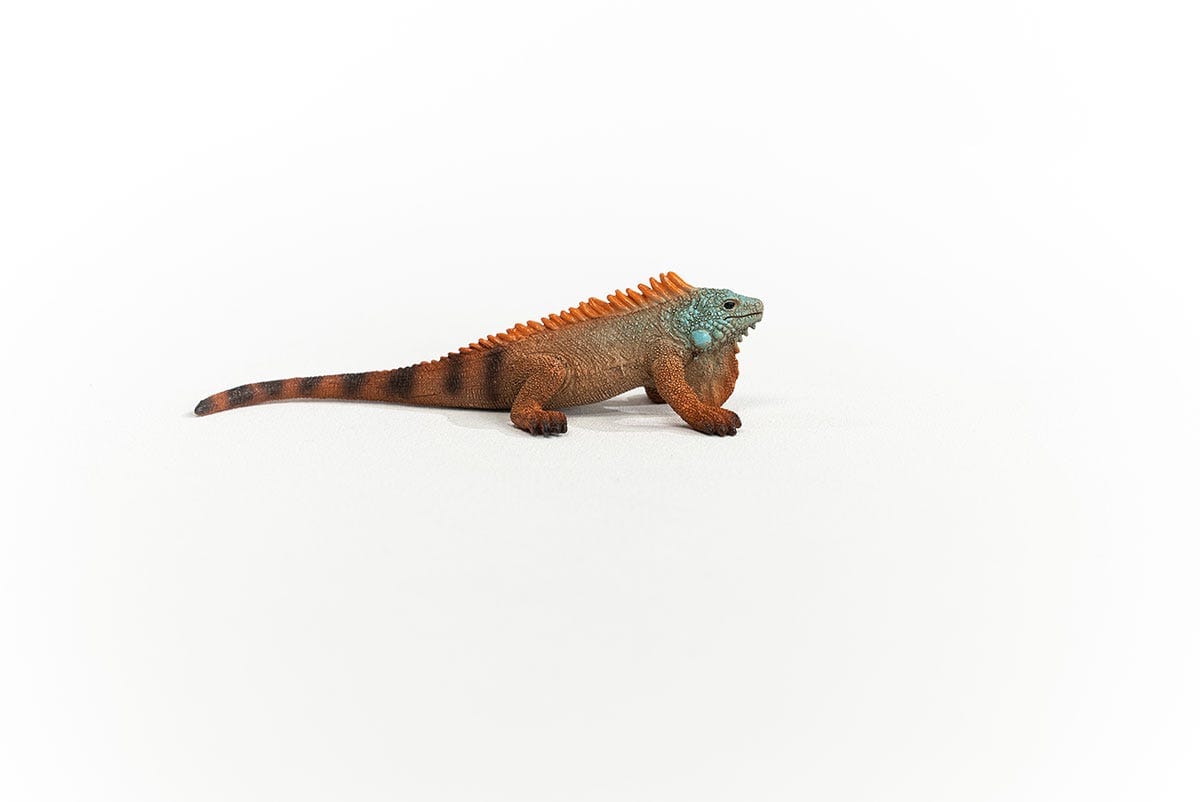 Iguana Animal Toy Schleich Lil Tulips