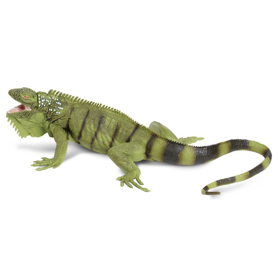 Iguana Toy Safari Ltd Lil Tulips