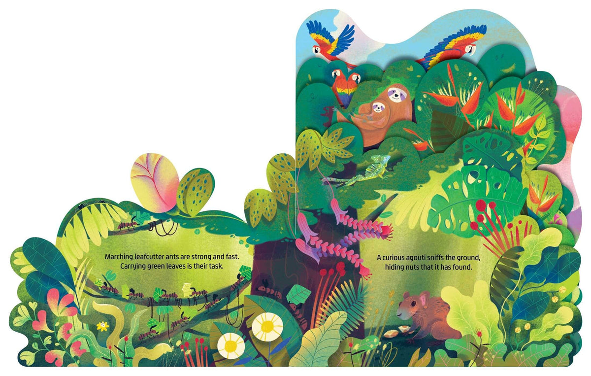 In the Rainforest Board Book Gibbs-Smith Lil Tulips