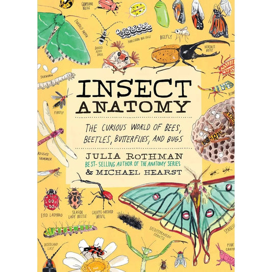 Insect Anatomy Hachette Lil Tulips