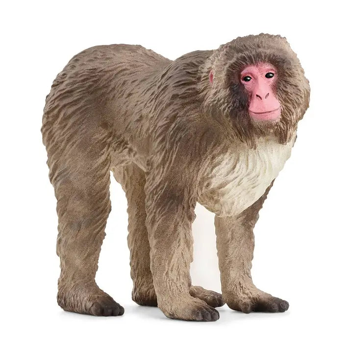 Japanese Macaque Animal Toy Schleich Lil Tulips