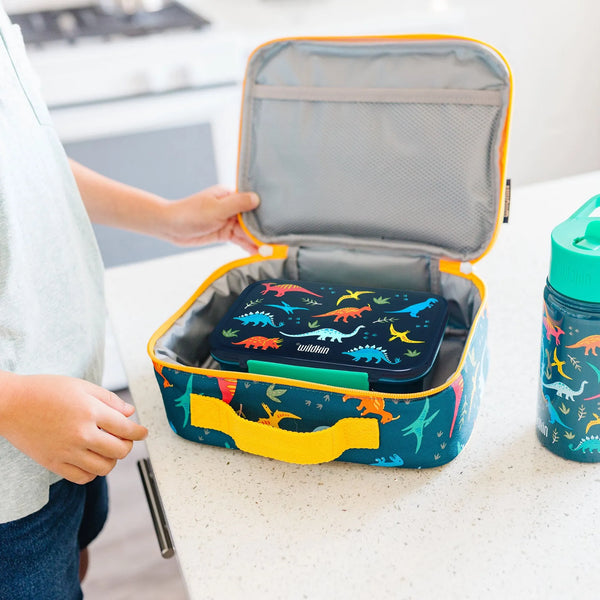 Jurassic Dinosaurs Reusable Food Container Bento Box Wildkin Lil Tulips