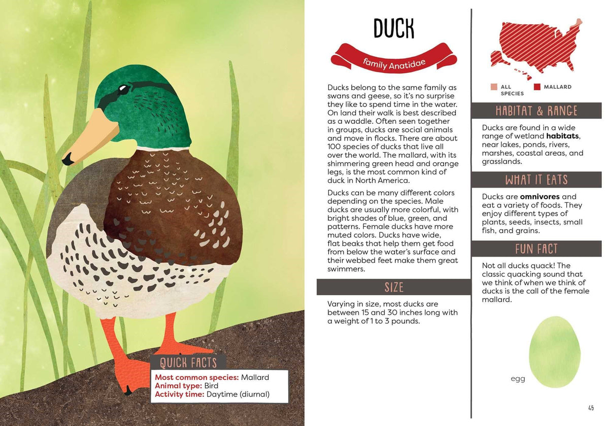 A Kid's Guide to Backyard Animals publisher preview image 6