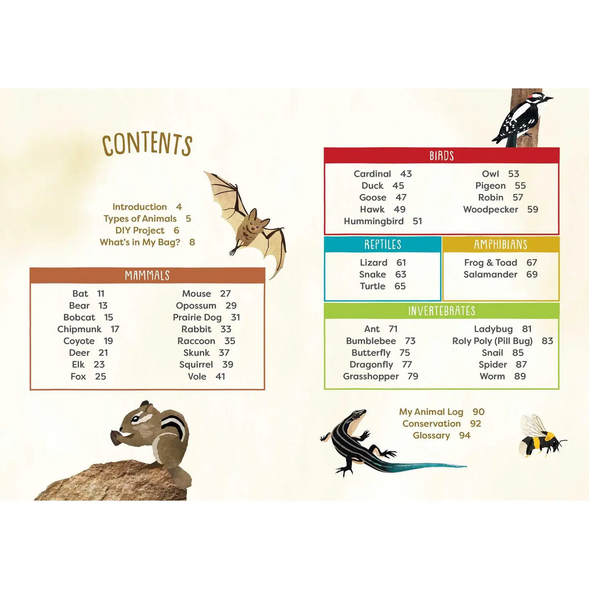 A Kid's Guide to Backyard Animals publisher preview image 5