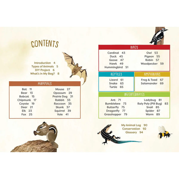 A Kid's Guide to Backyard Animals publisher preview image 5