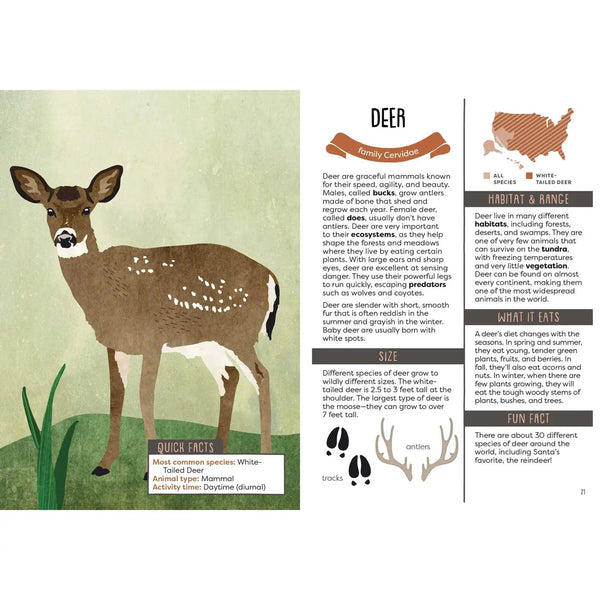 A Kid's Guide to Backyard Animals publisher preview image 4