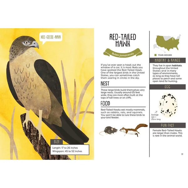 A Kid's Guide to Backyard Birds publisher preview image 3