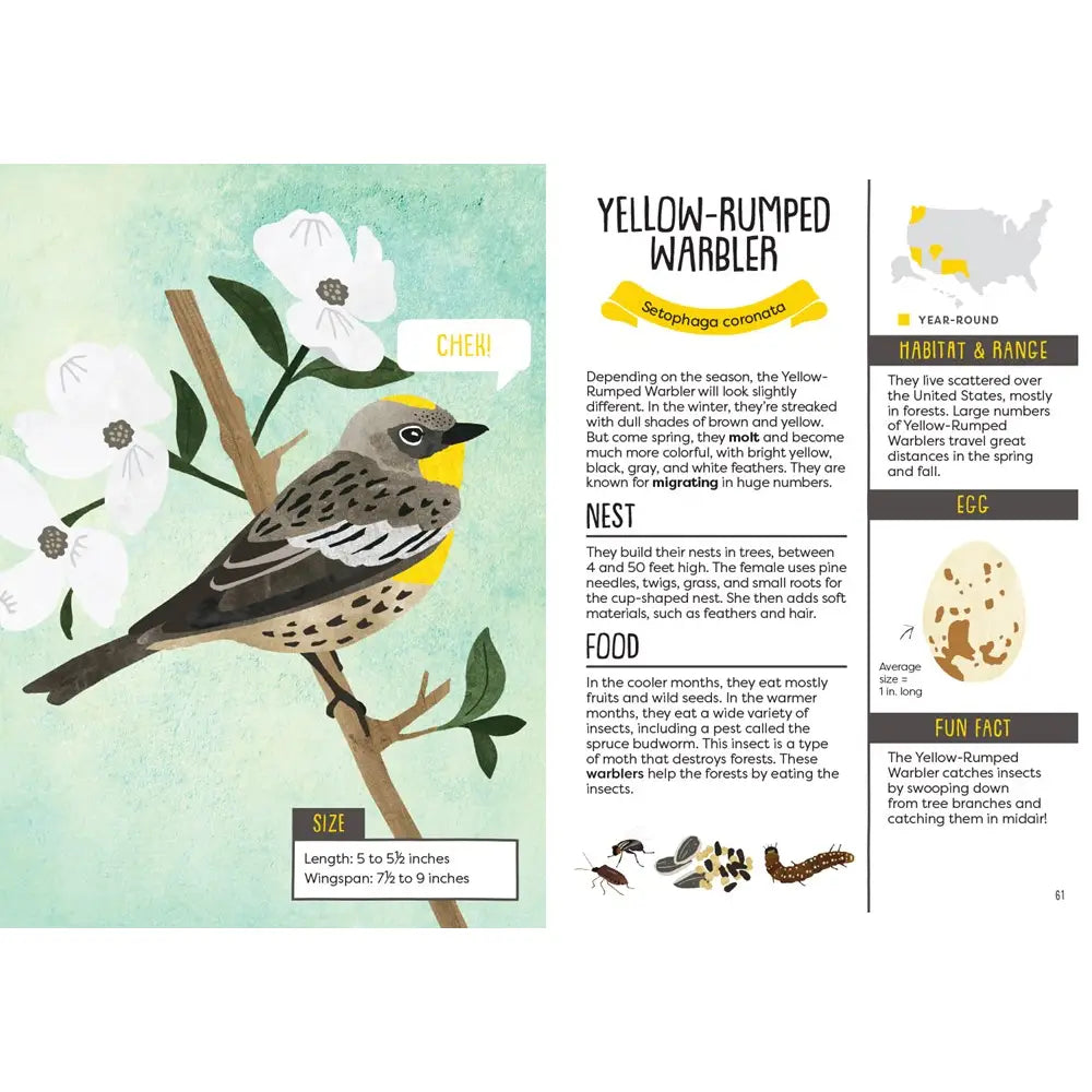 A Kid's Guide to Backyard Birds publisher preview image 2