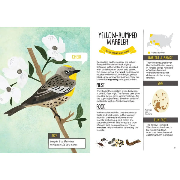 A Kid's Guide to Backyard Birds publisher preview image 2