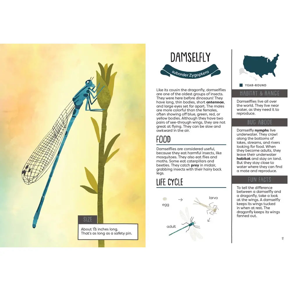 A Kid's Guide to Backyard Bugs publisher preview image 4