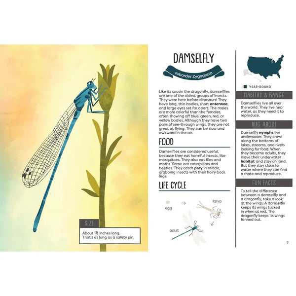 A Kid's Guide to Backyard Bugs publisher preview image 4