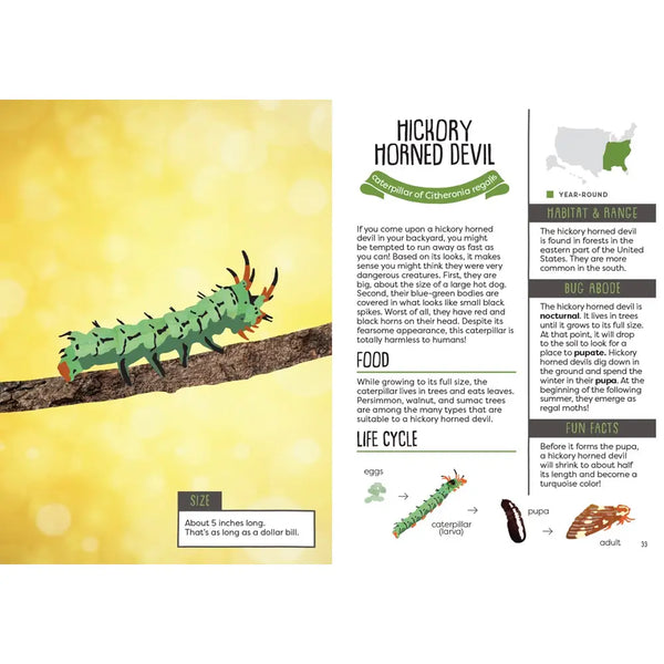 A Kid's Guide to Backyard Bugs publisher preview image 2
