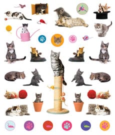 Kittens Eyelike Reusable Stickers Workman Publishing Lil Tulips