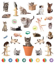 Kittens Eyelike Reusable Stickers Workman Publishing Lil Tulips