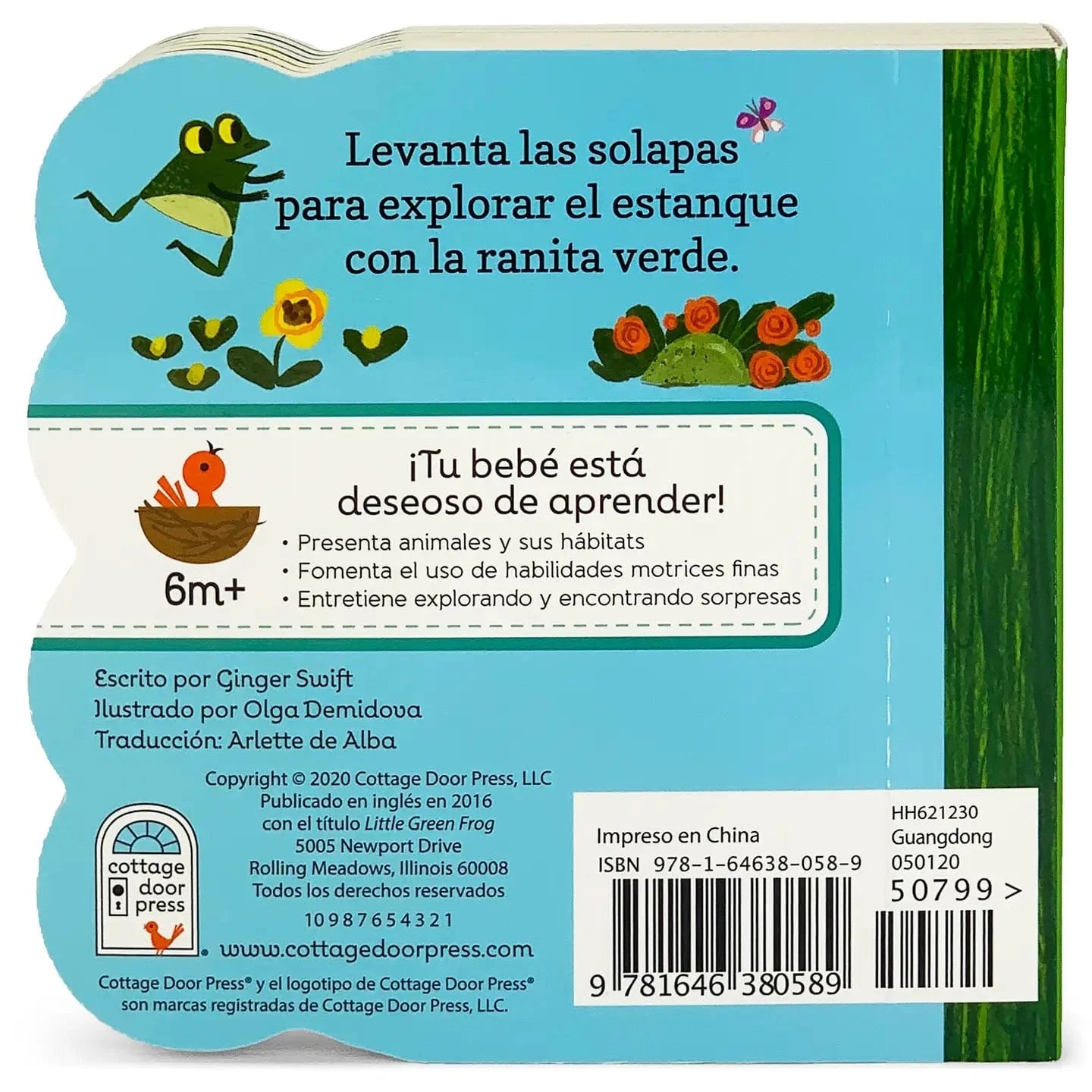 La Ranita Verde / Little Green Frog (Spanish Edition) Cottage Door Press Books Lil Tulips