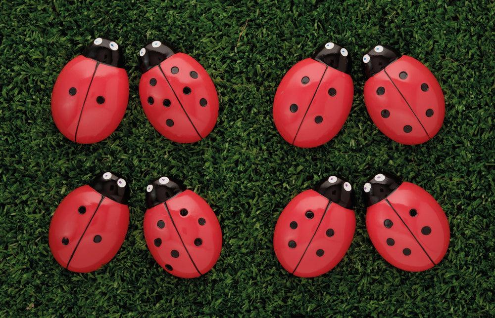 Ladybug Counting Play Stones Yellow Door US LLC Lil Tulips