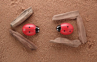 Ladybug Counting Play Stones Yellow Door US LLC Lil Tulips