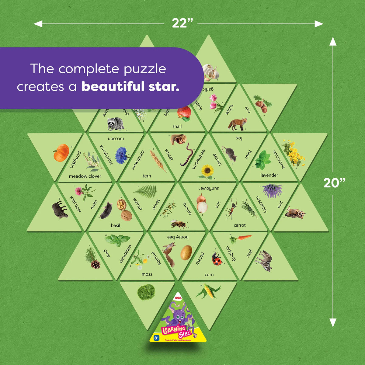 Learning Star Educational Game - Forest, Fields, and Meadow HABA Lil Tulips
