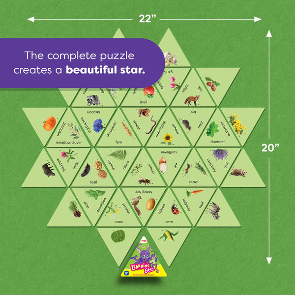 Learning Star Educational Game - Forest, Fields, and Meadow HABA Lil Tulips