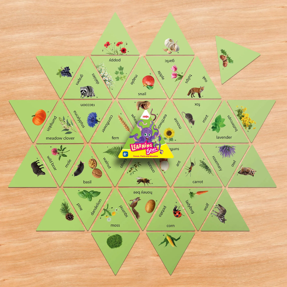 Learning Star Educational Game - Forest, Fields, and Meadow HABA Lil Tulips