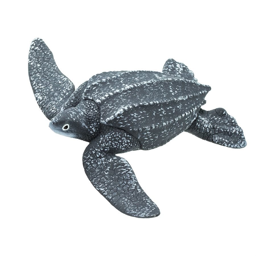 Leatherback Sea Turtle Toy Safari Ltd Lil Tulips