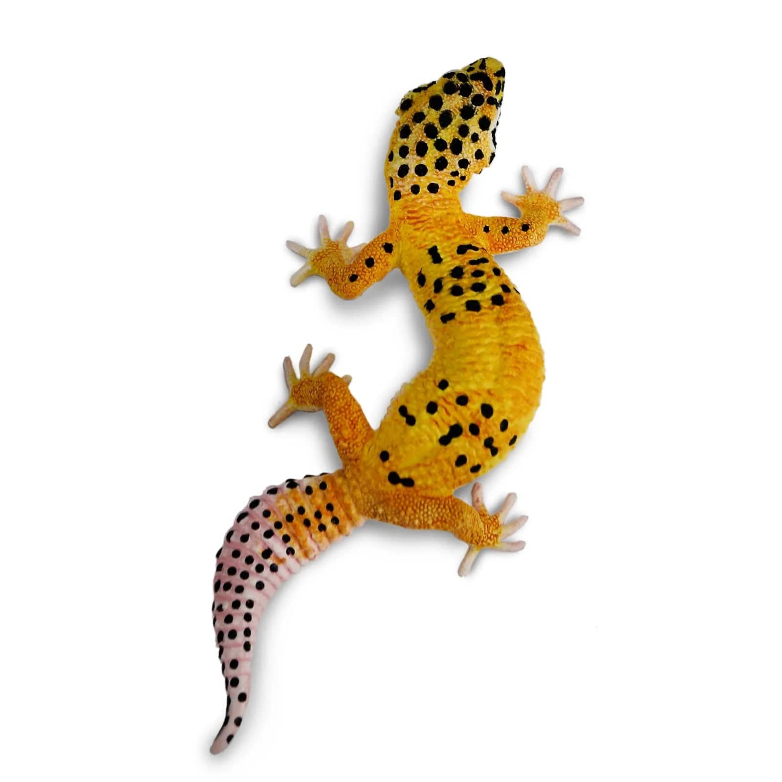 Leopard Gecko Toy Safari Ltd Lil Tulips