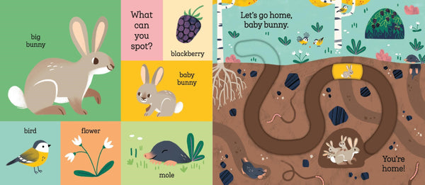 Let's Go Home, Baby Bunny Hachette Lil Tulips