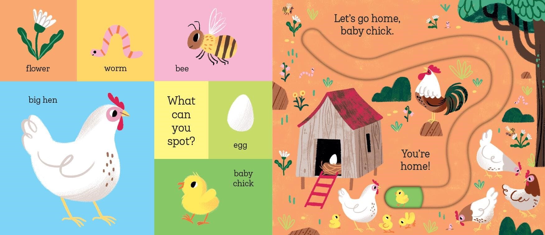 Let's Go Home, Baby Chick Hachette Lil Tulips
