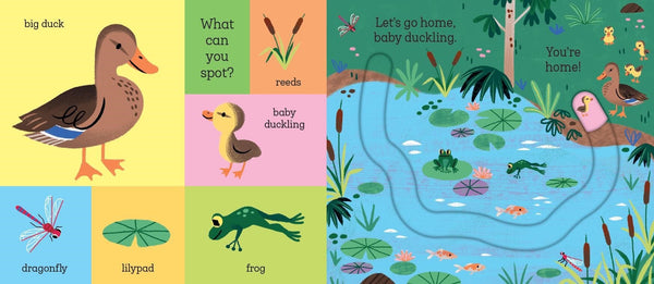 Let's Go Home, Baby Chick Hachette Lil Tulips