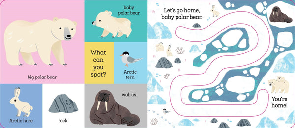 Let's Go Home, Baby Penguin Hachette Lil Tulips