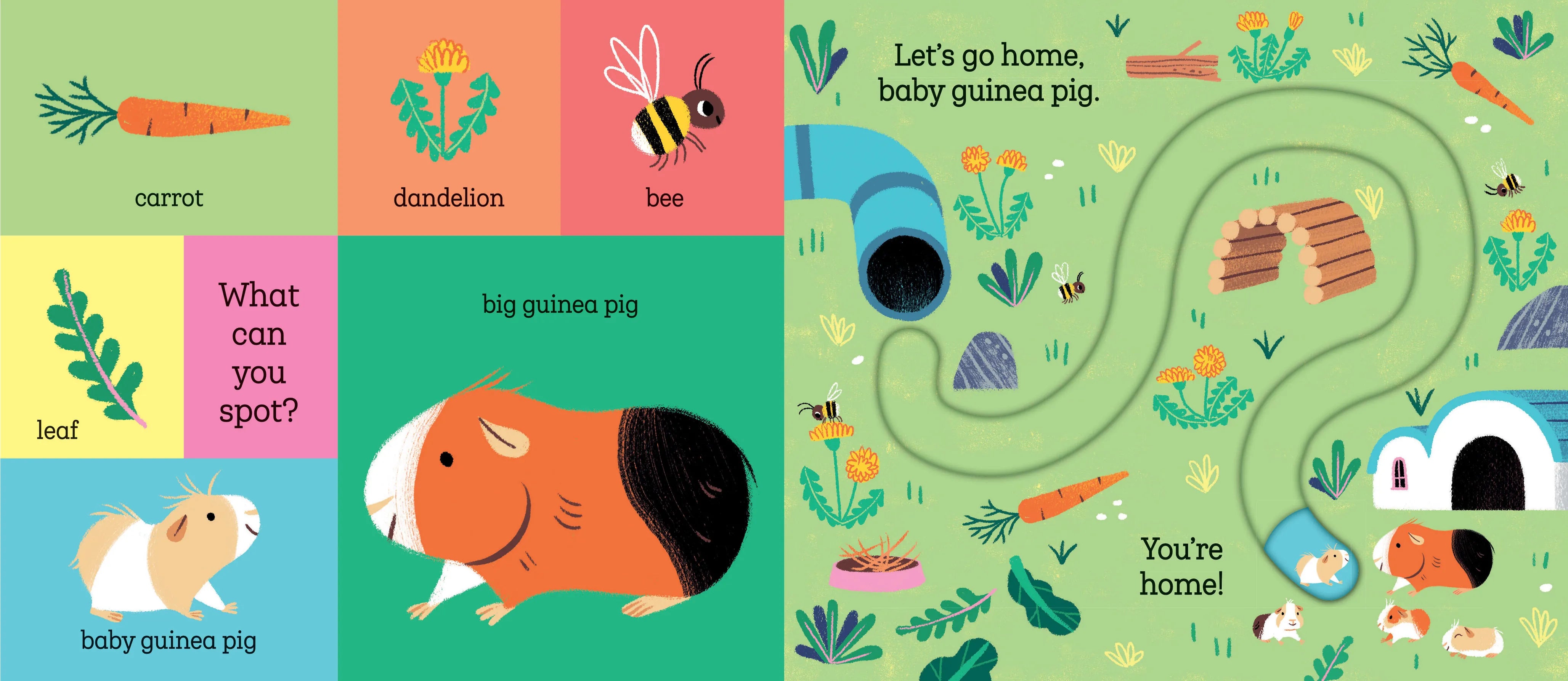 Let's Go Home, Baby Puppy Hachette Lil Tulips