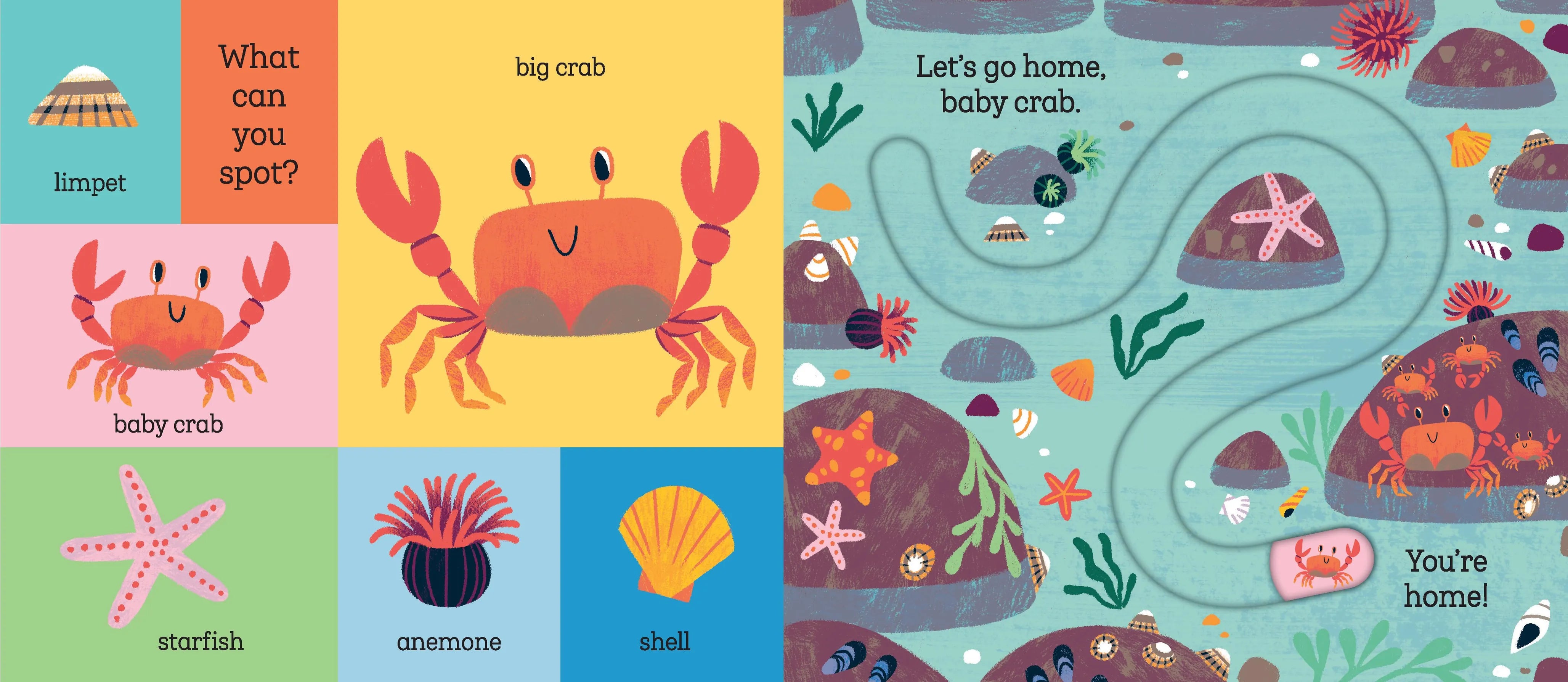 Let's Go Home, Baby Shark Hachette Lil Tulips