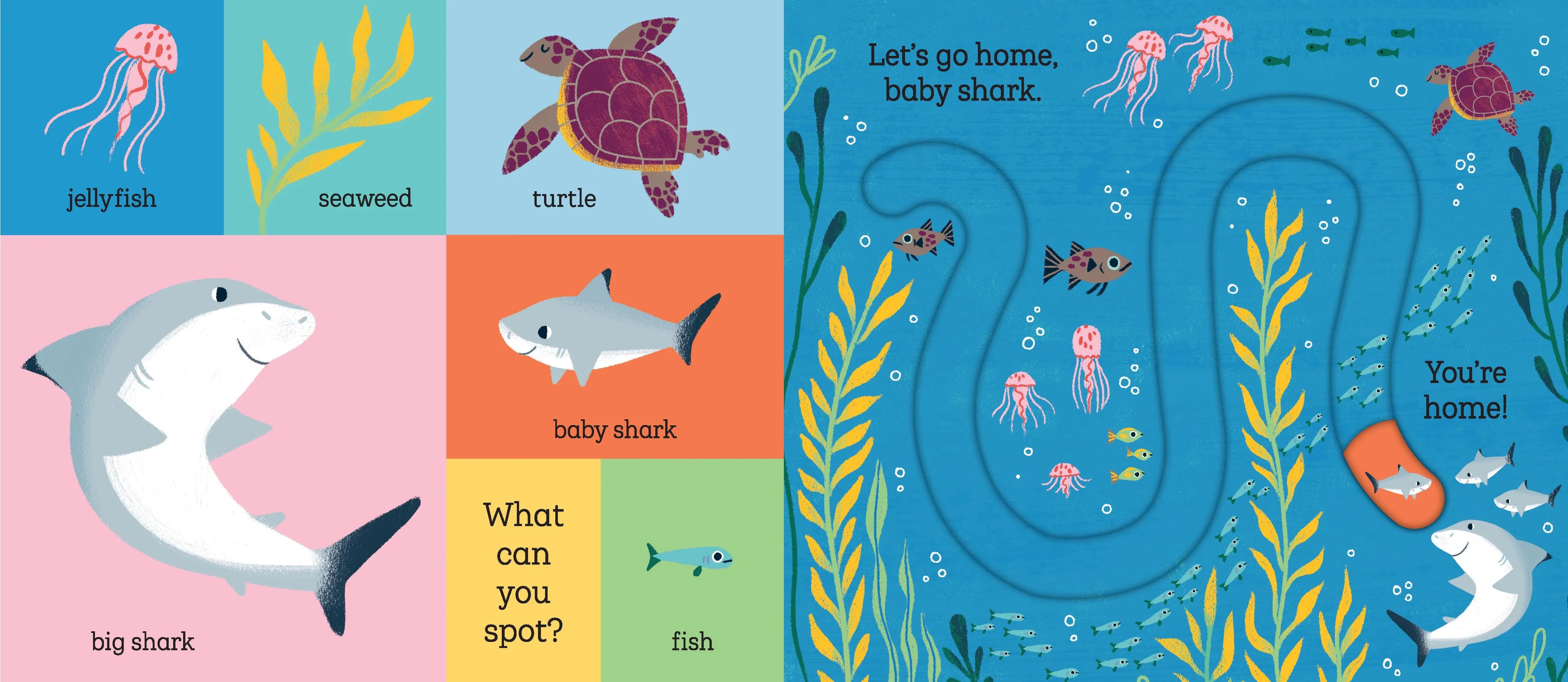 Let's Go Home, Baby Shark Hachette Lil Tulips